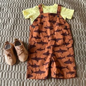 Carter’s 2-Piece T-Shirt and Short Overall Set